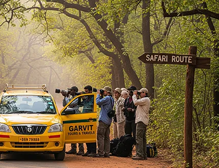Sariska Wildlife Safari Cab from Jaipur