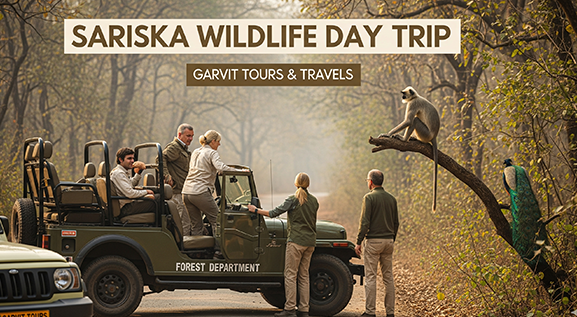 Jeep safari in Sariska Tiger Reserve